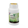 StartBooster Aptus - 250ml