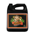 Piranha Liquid Advanced Nutrients - 10L