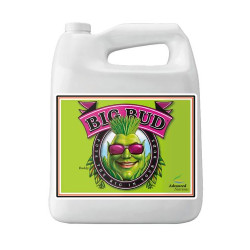 Big Bud Advanced Nutrients - 10L