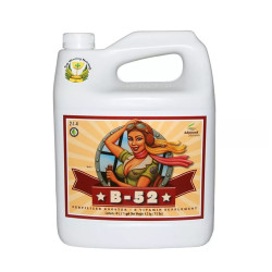 B-52 Advanced Nutrients - 10L