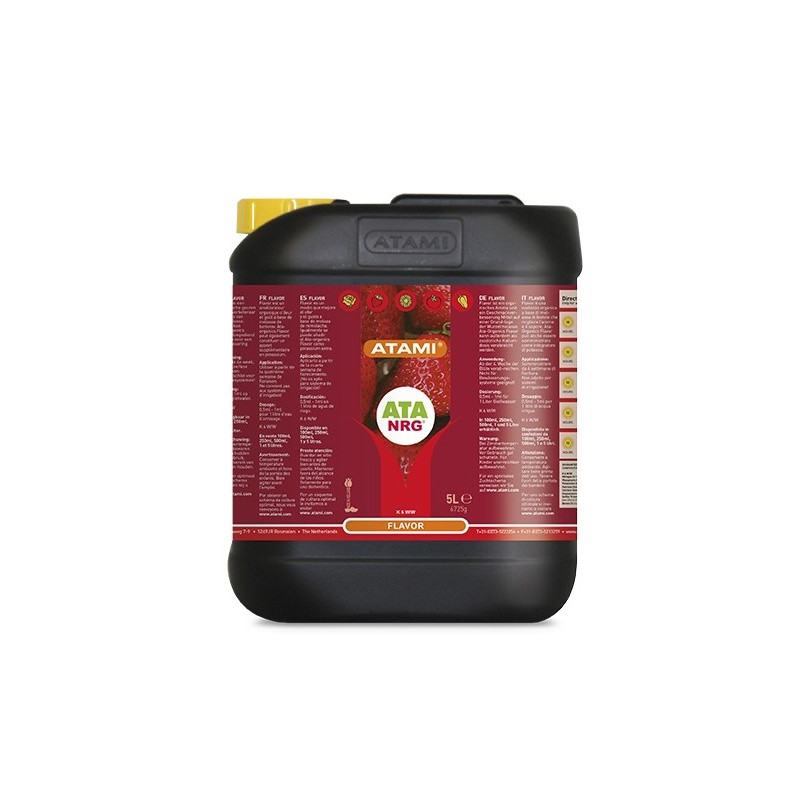 ATA NRG Flavor Atami - 5L