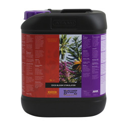 Coco Bloom Stimulator B'cuzz Atami - 5L