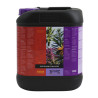Coco Bloom Stimulator B'cuzz Atami - 5L