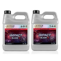 Impact Bloom A+B Grotek - 500ml
