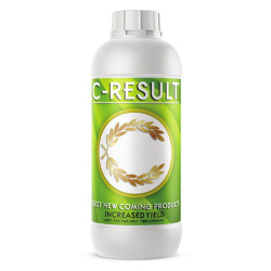 C-Result - 1L