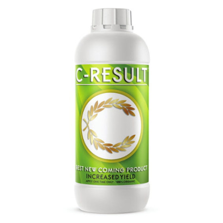 C-Result - 1L