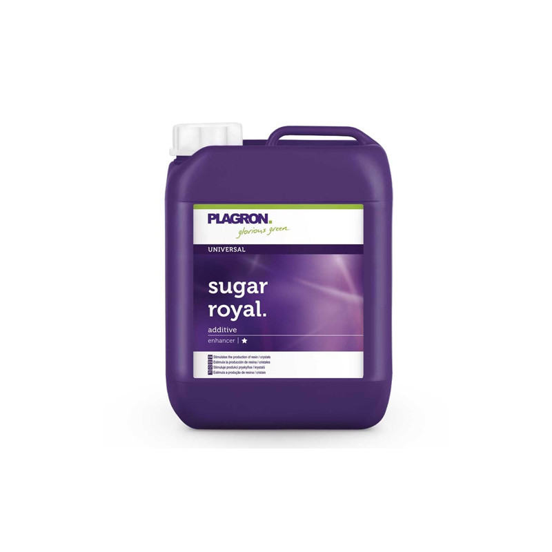 Sugar Royal Plagron - 5L