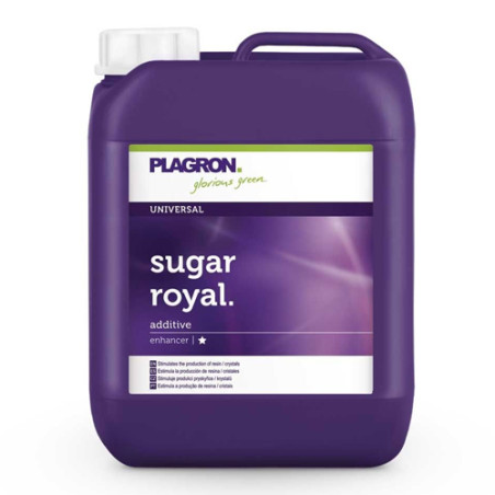 Sugar Royal Plagron - 5L