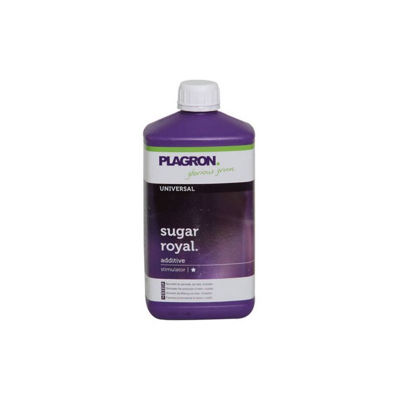 Sugar Royal Plagron - 500ml