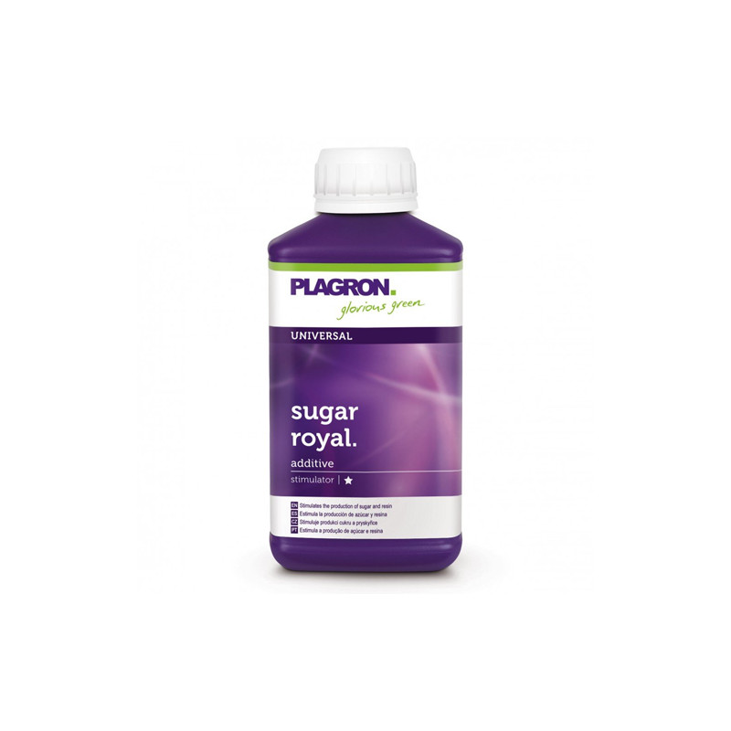 Sugar Royal Plagron - 250ml