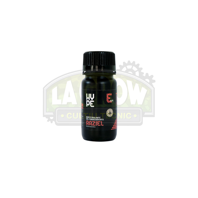 Raziel The Hype Company - 100gr
