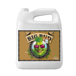 Big Bud Coco Liquid Advanced Nutrients - 5L
