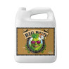 Big Bud Coco Liquid Advanced Nutrients - 5L