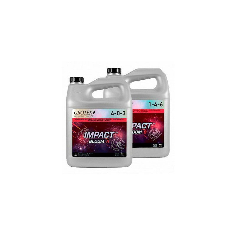 Impact Bloom A+B Grotek - 10L