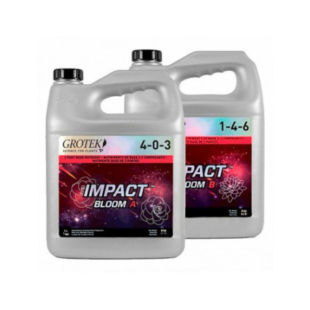 Impact Bloom A+B Grotek - 10L
