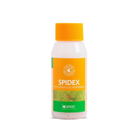 Spidex 10000 Phytoseiulus (Araña Roja) Koppert