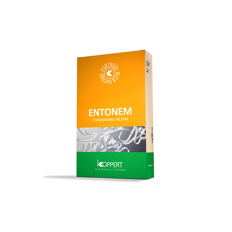 Entonem 50 Mosca de Suelo Koppert