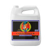 Connoisseur Bloom B Advanced Nutrients - 5L
