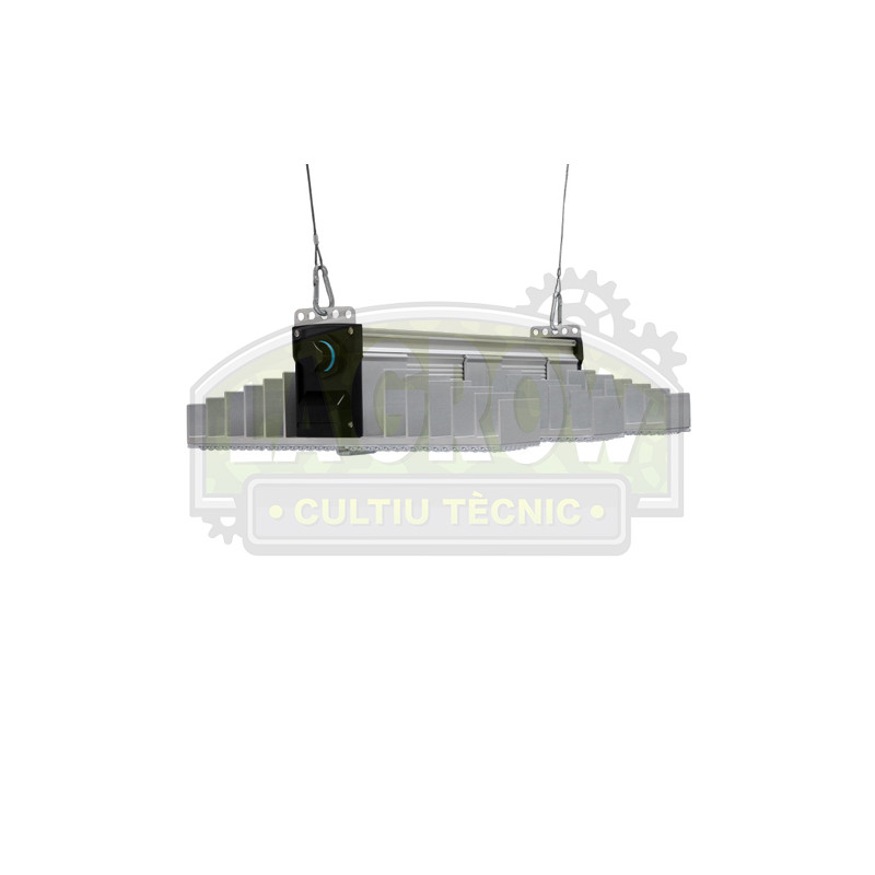EVO 3 Sanlight - 80cm