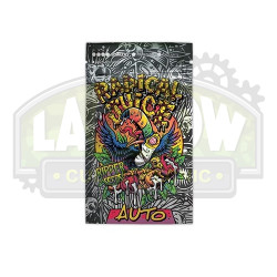 Radical Juice Automatica Ripper Seeds - 5 Seeds