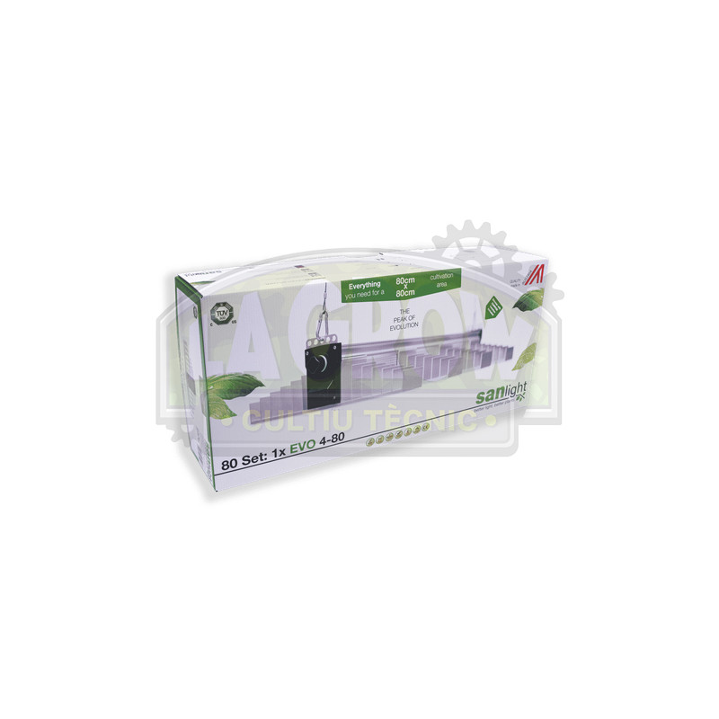 EVO Set 80 Sanlight