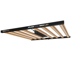 Xplore Series Led Dimlux - 800W