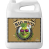 Organic Big Bud Coco Liquid Advanced Nurients - 5L