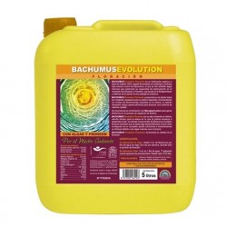 Bachumus Evolution-F Trabe...