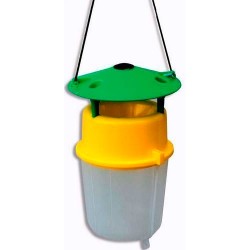 Polillero Transparente