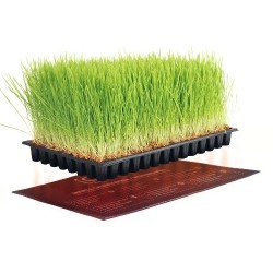 Manta Calentadora IClone - 15W