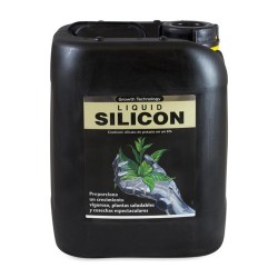 Liquid Silicon Growth...