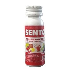 Sento JED Massó - 8cc