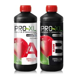 Bloom A+B Pro-XL - 1L