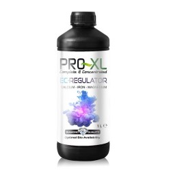 EC-Regulator Pro-XL - 1L
