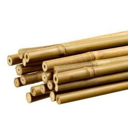 Tutor Bambú 1,5m - 1 Ud.