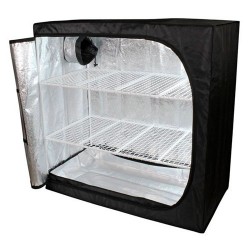 Dark Box Propagator Tower...