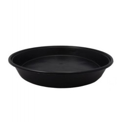 Plato Redondo - 32 x 4,5cm