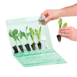 Funda Transporte 6 Esquejes