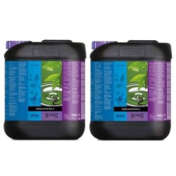 Hydro A+B B'cuzz Atami - 5L