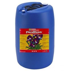 Tripart Bloom Terra...