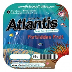 Trufas Atlantis Psilocybe...