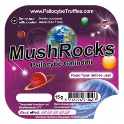 Trufas MushRocks Psilocybe...