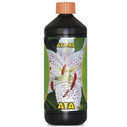 ATA-XL Atami - 1L