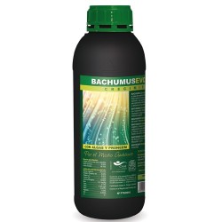 Bachumus Evolution-C Trabe...