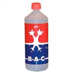 Ph Down BAC - 1L