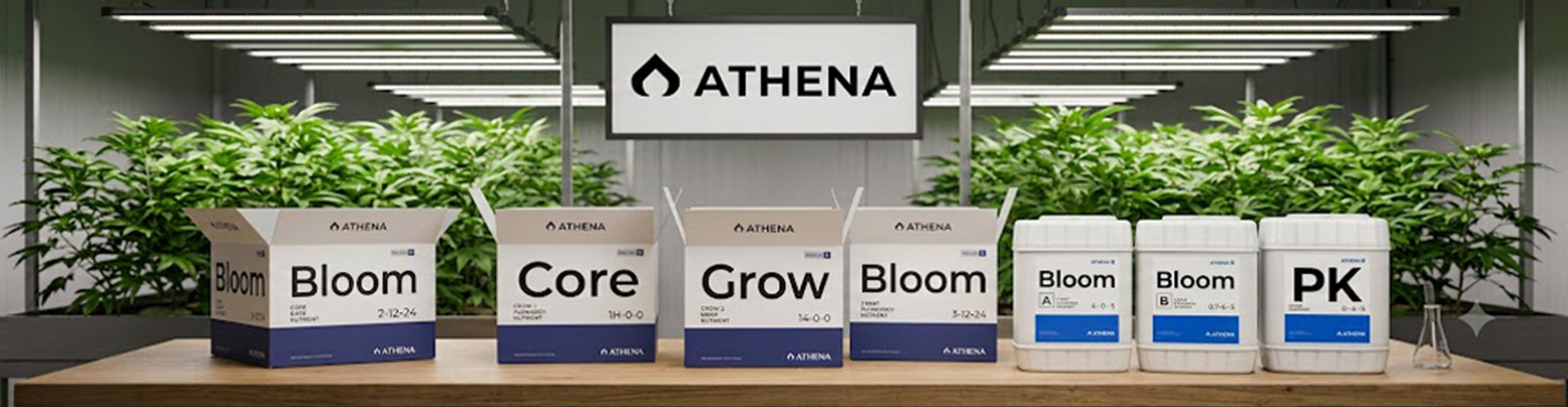 Athena