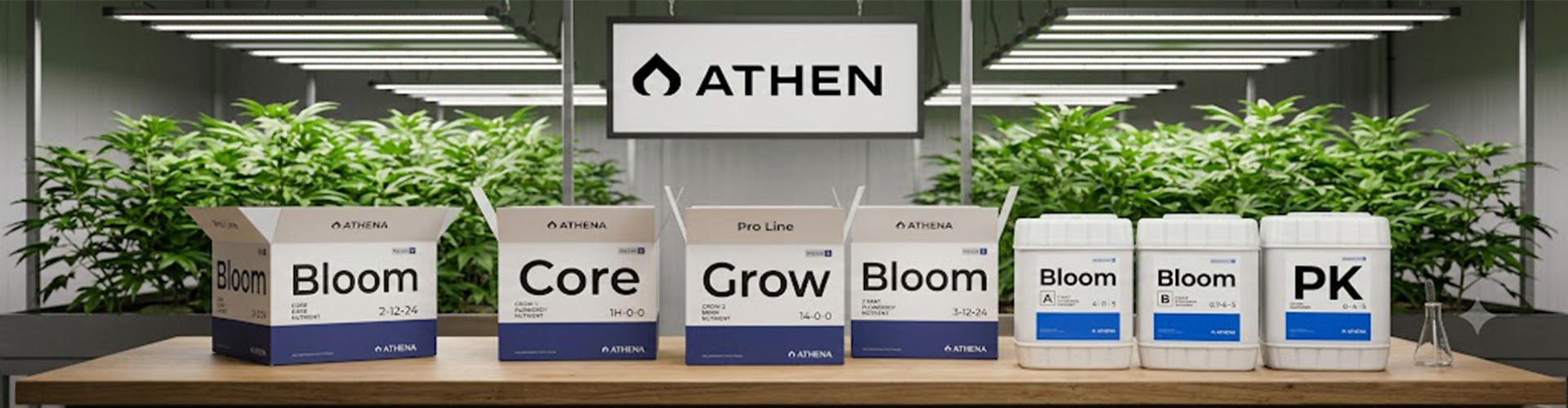 Athena
